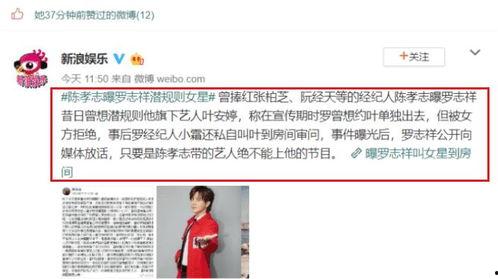 娱乐圈大佬吃瓜小说免费阅读,免费阅读，揭秘幕后真相